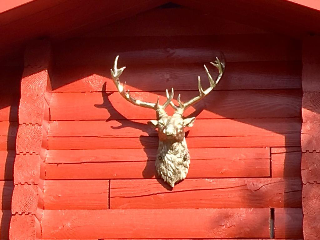 Pucks Glen Lodges Dunoon Exterior foto