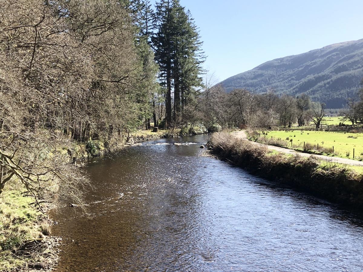 Pucks Glen Lodges Dunoon Exterior foto